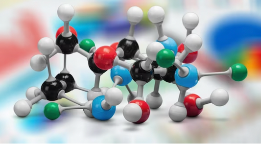 Amino Acids and Muscle Growth